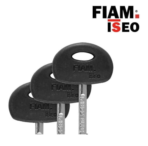 Iseo Fiam Klucz surowy